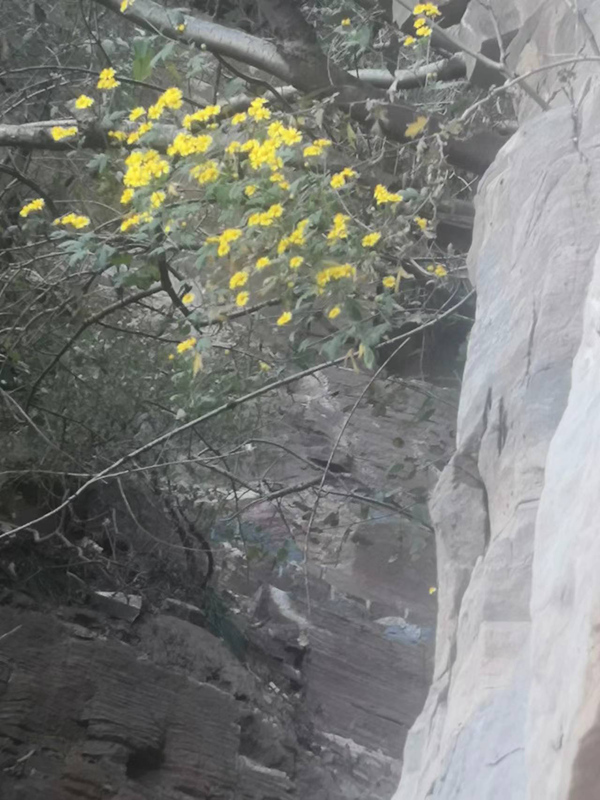 不负好时光 秋游正当时