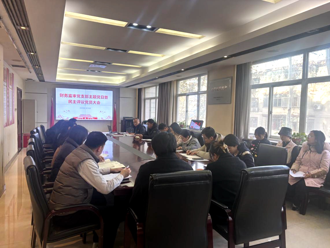 财务监审党支部召开2024年度组织生活会暨民主评议党员