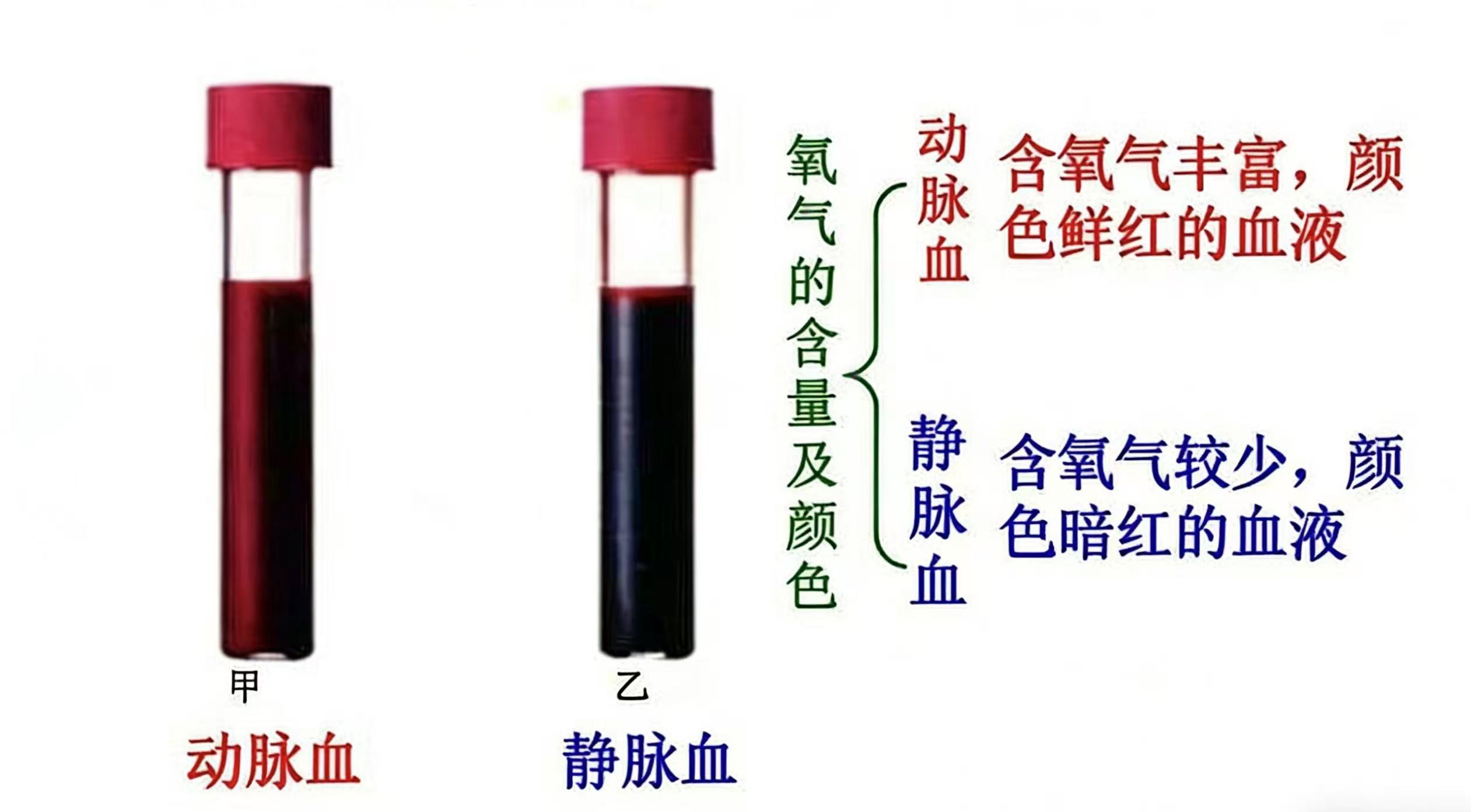 我献的血为什么不是红色的？