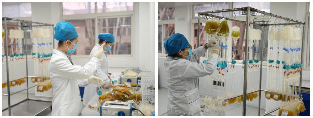 凝心聚力启新程 热血护航谱新篇