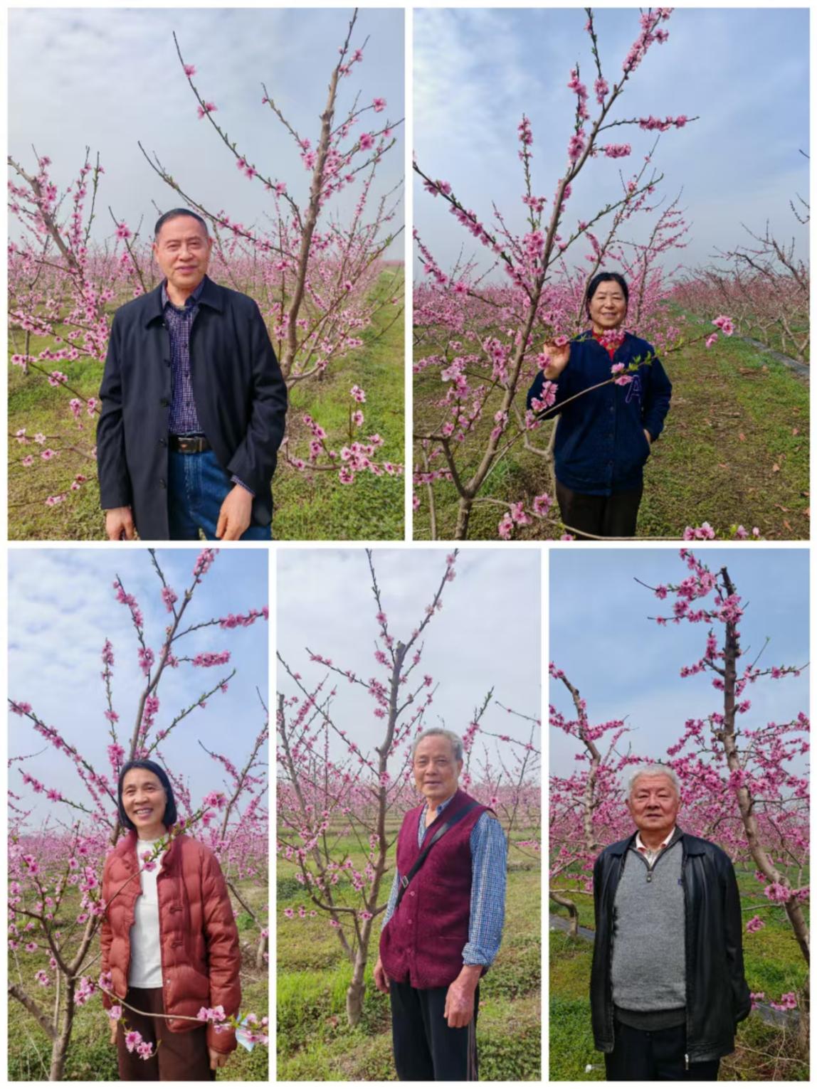 春日寻芳忆初心 文化传承担使命