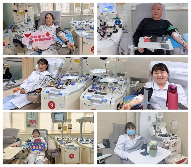 热血践初心 奉献显担当