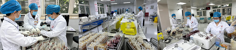 5·8世界红十字日：坚守幕后精制备 传递爱心护生命