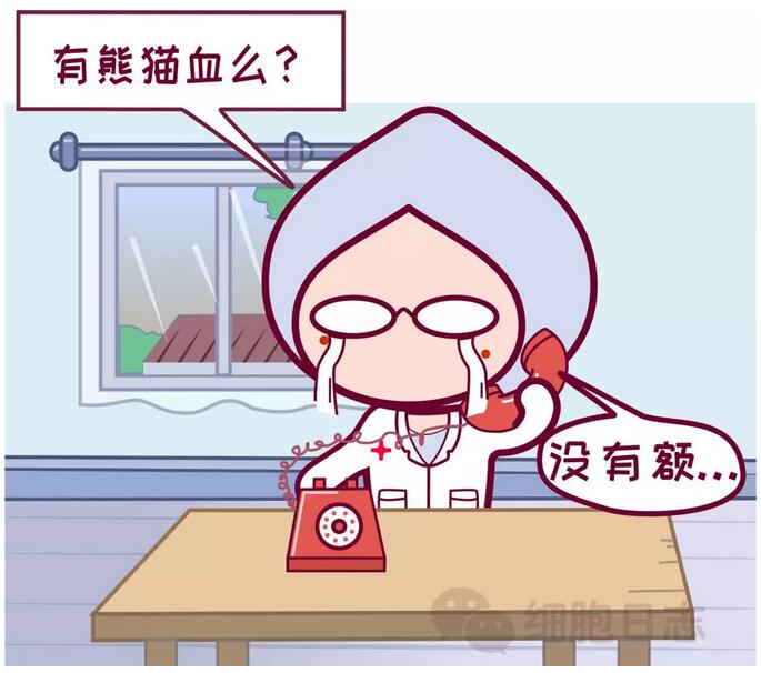 稀有血型之Rh型血，流淌在生命的边缘