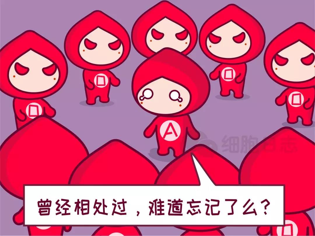 还以为O型血是“万能血”呢？错！