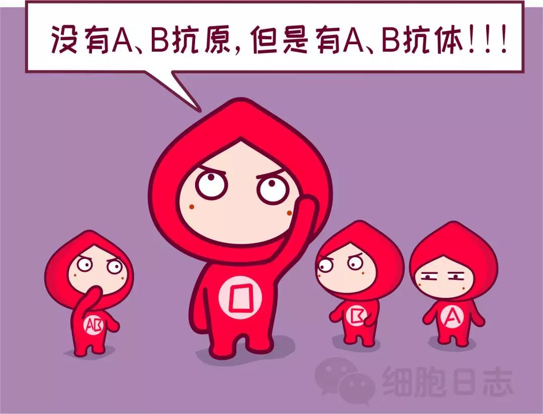 还以为O型血是“万能血”呢?错!