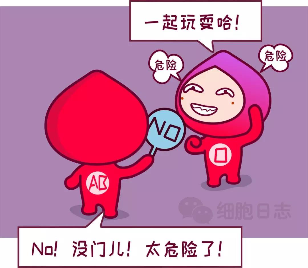 还以为O型血是“万能血”呢？错！