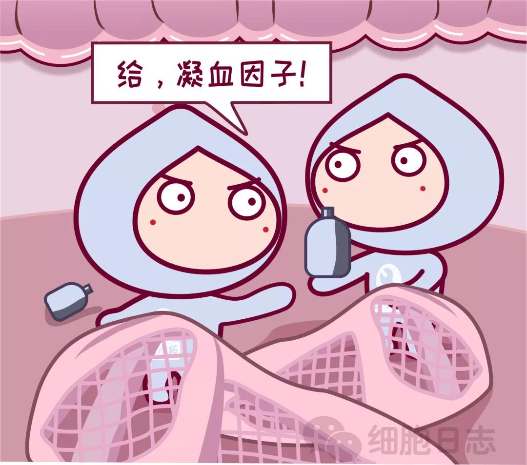 惊雷!血小板并不小,可它的功能很重要