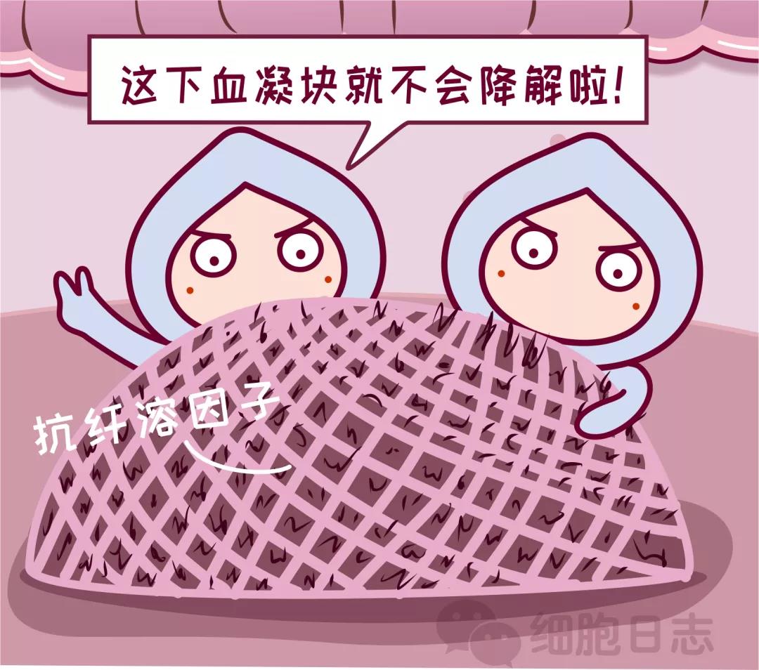 惊雷！血小板并不小，可它的功能很重要