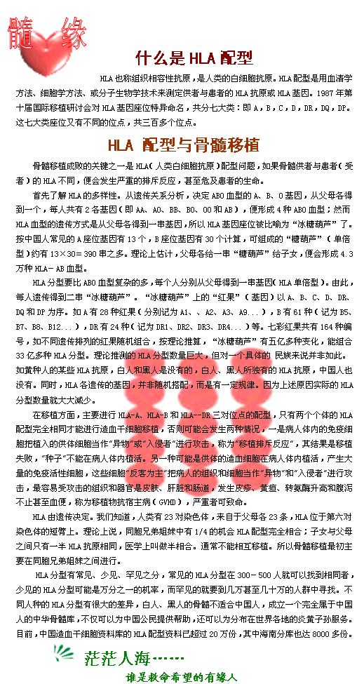 HLA配型