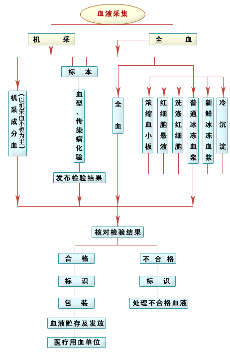 业务流程图