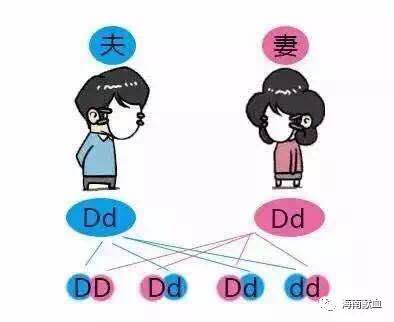 由O型血丈夫与A型血妻子，生出B型血宝宝所想到的……
