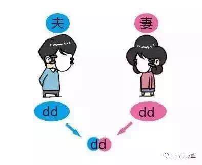 由O型血丈夫与A型血妻子，生出B型血宝宝所想到的……