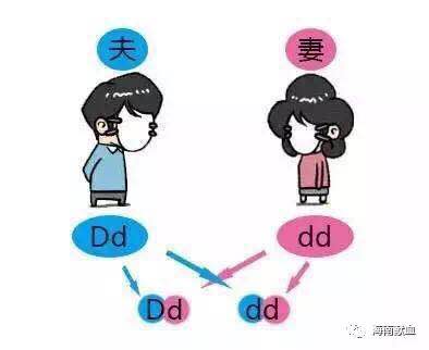由O型血丈夫与A型血妻子，生出B型血宝宝所想到的……