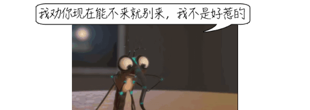 一场与蚊子的“战争”仍在继续……