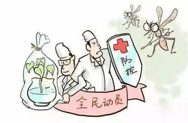 一场与蚊子的“战争”仍在继续……