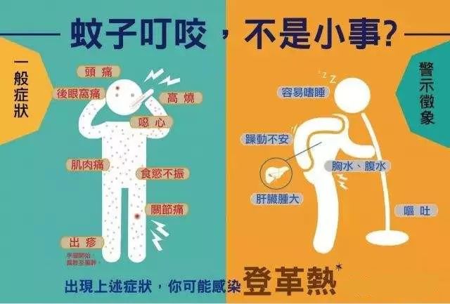 一场与蚊子的“战争”仍在继续……
