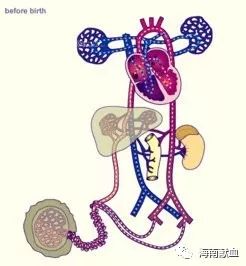 冬季献血后会怕冷?答案在这里
