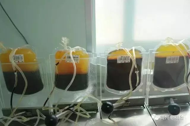 听说新冠肺炎还可以通过这种方式治疗,是真的吗?