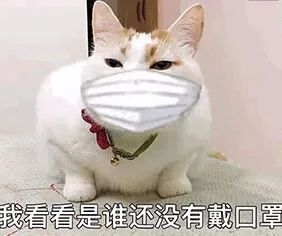 非常时期, 这些“罩”片很暖心!