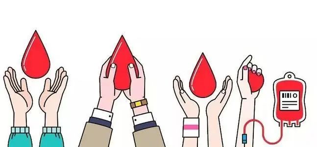 一个人失血多少，就会有生命危险？