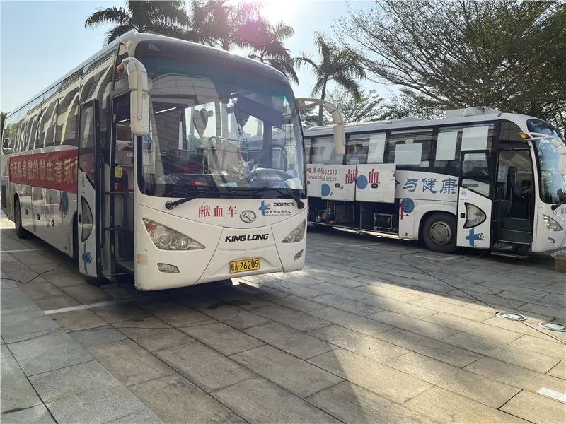 寒冬中,他们用温暖守护一座城