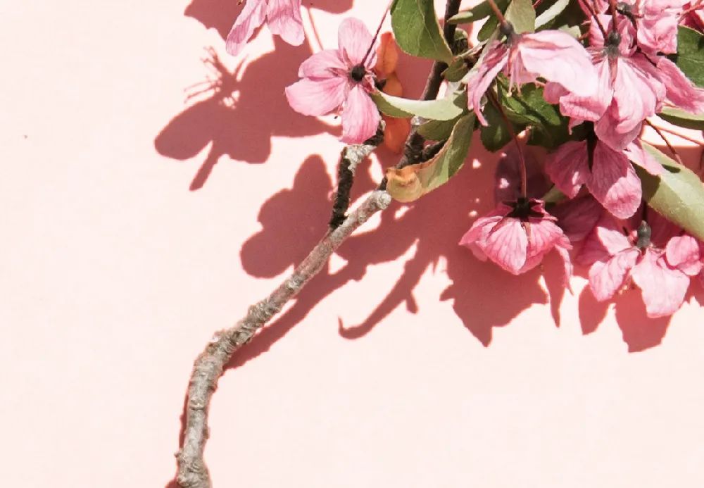 今天,让我们一同致敬“她能量”!