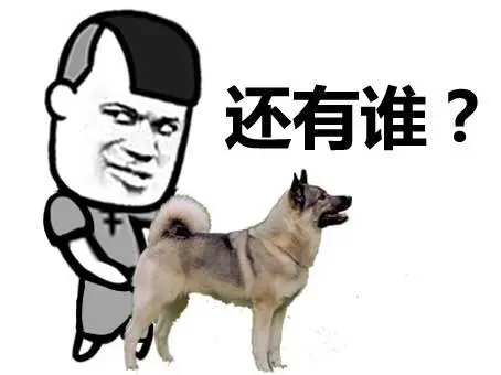 除了ABO，还有你不知道的稀有血型