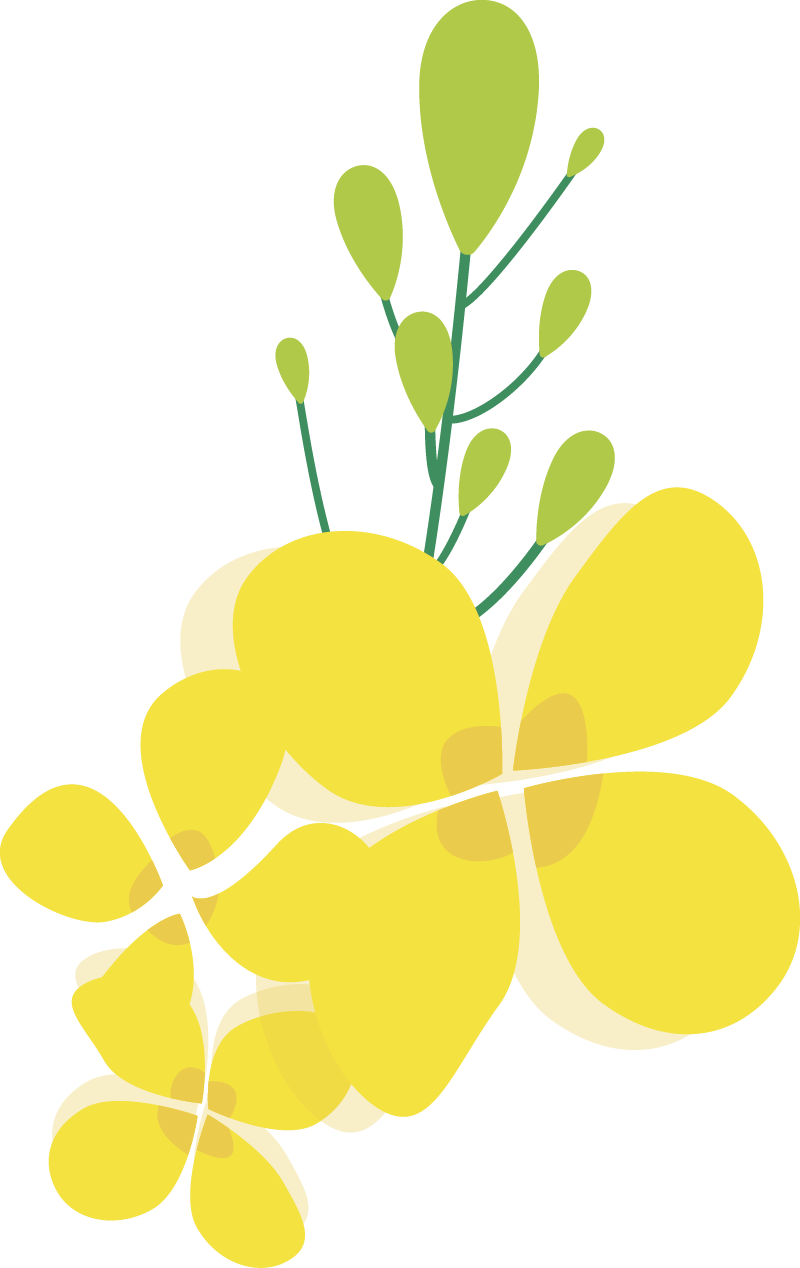 5·12国际护士节——致敬人间最美的天使!