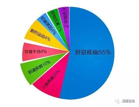 献血不合格，元凶竟是它？