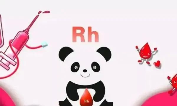 “阳康”后，熊猫侠来了！