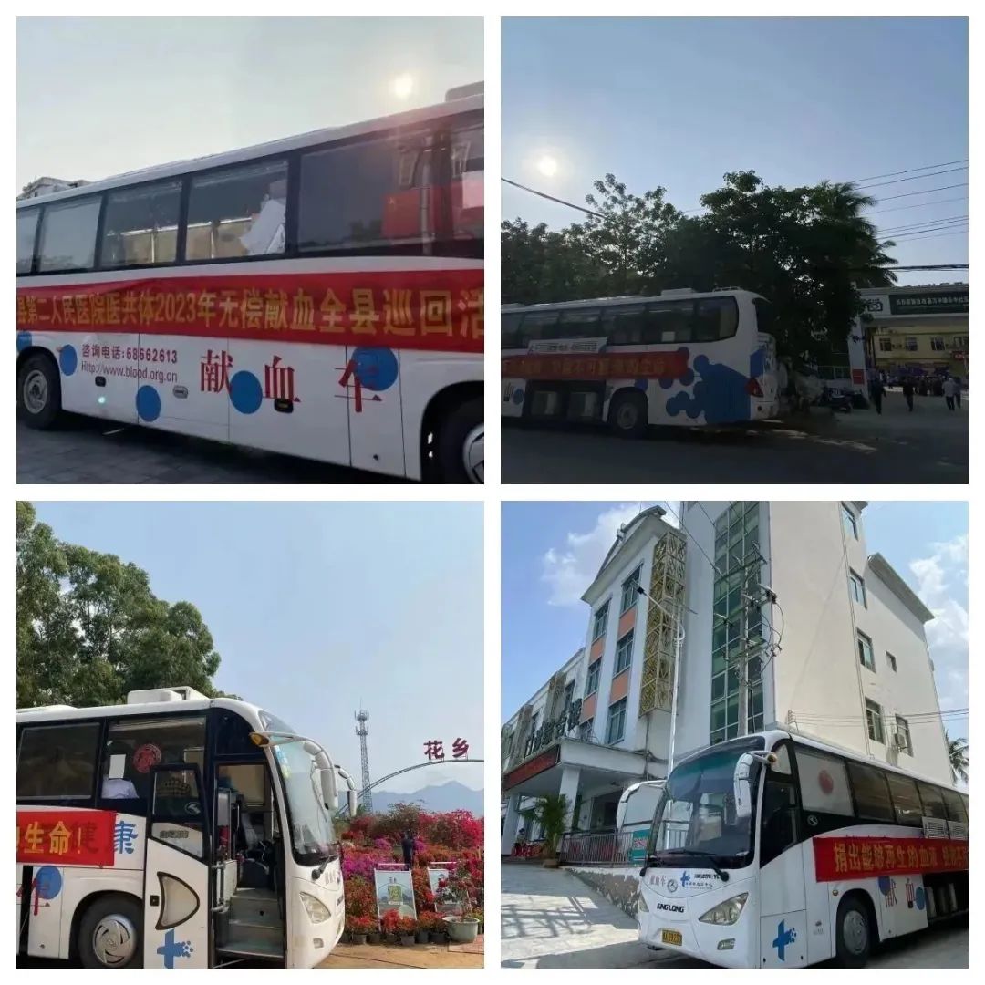 乐东黎族自治县开展十一乡镇巡回无偿献血宣传活动