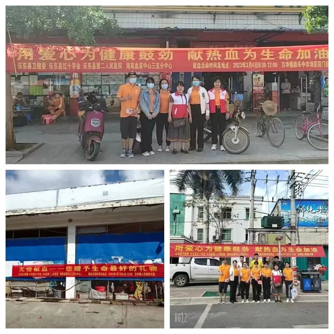 乐东黎族自治县开展十一乡镇巡回无偿献血宣传活动