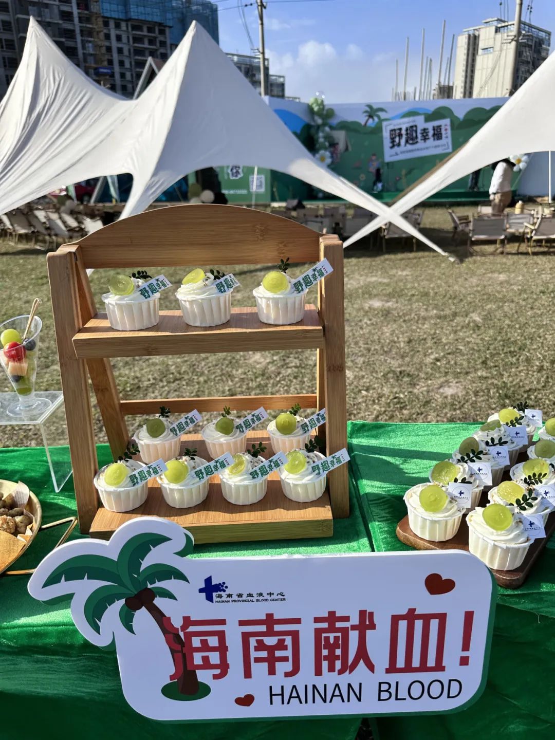 #野趣幸福#——海南省血液中心举办首届海南团体献血关爱户外露营活动