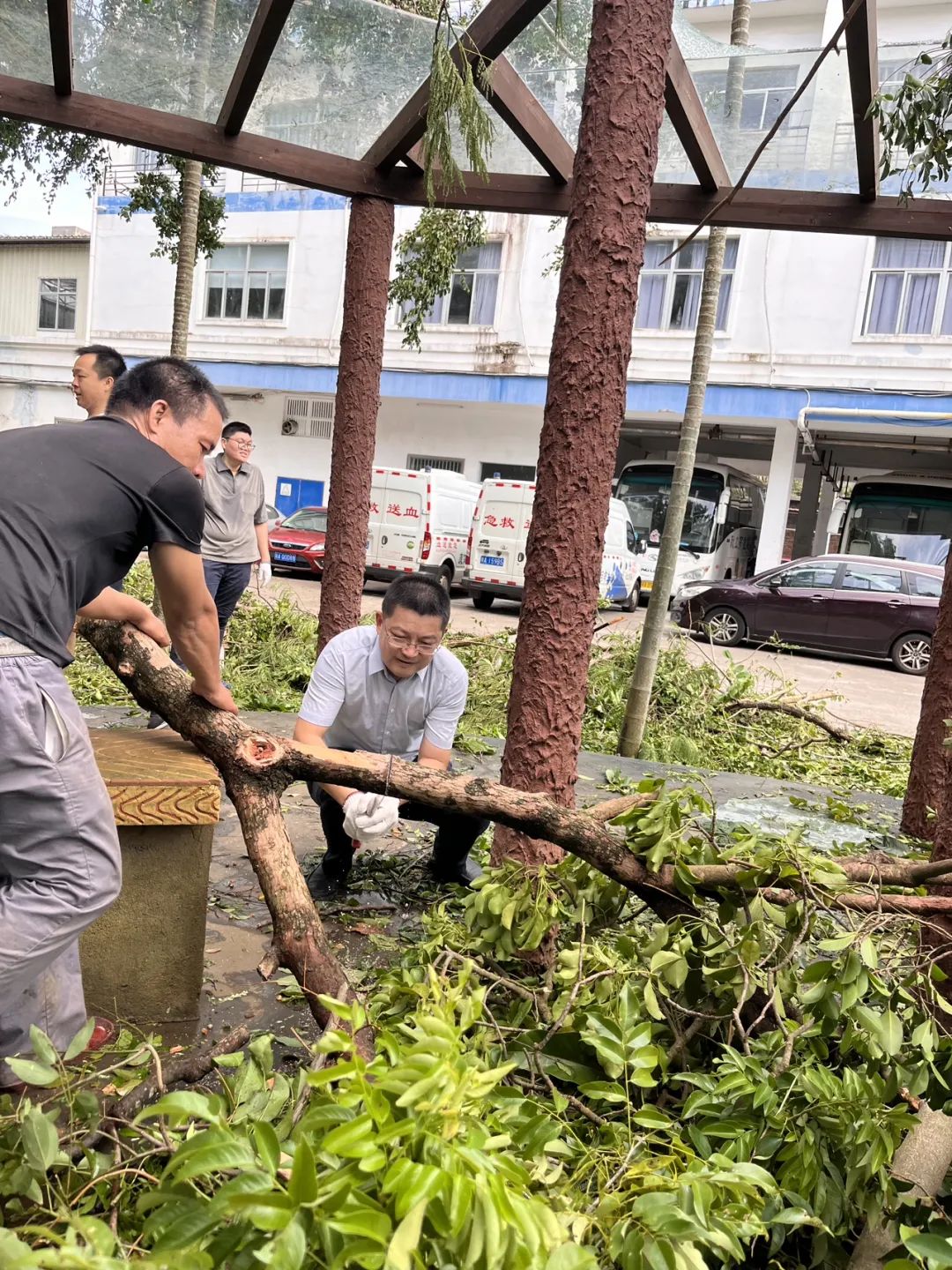 彰显党员担当 助力家园重建 ——海南省血液中心灾后恢复工作加紧开展