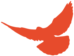 全民消防 生命至上——119消防宣传安全日知识科普