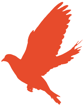 全民消防 生命至上——119消防宣传安全日知识科普