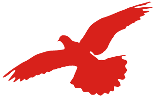 全民消防 生命至上——119消防宣传安全日知识科普