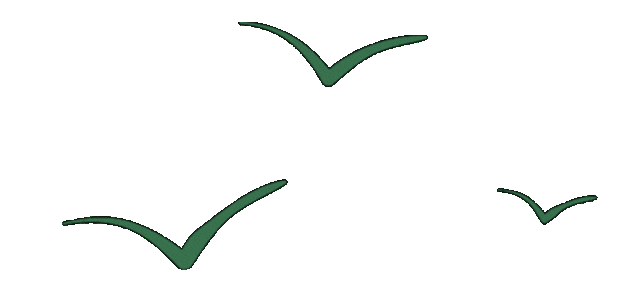 “三十而丽 一望情深”望海国际三十周年店庆暨第26个献血日