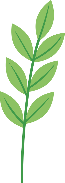 一起燃烧卡路里——海南省无偿献血志愿者健步活动点燃春日热情