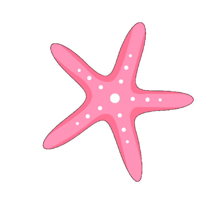 热血丹心映琼州 志愿微光照人间——海南省无偿献血志愿者服务总队五星志愿者任桂萍