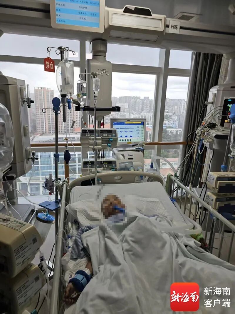 遭车祸重伤昏迷，6岁女孩急需“救命血”！暖心事在陵水上演→