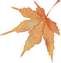 热血接力，为暖冬助力！这份专属献血者的温暖回馈，等您开启！