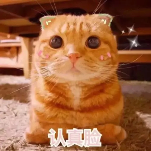 春季献血小常识