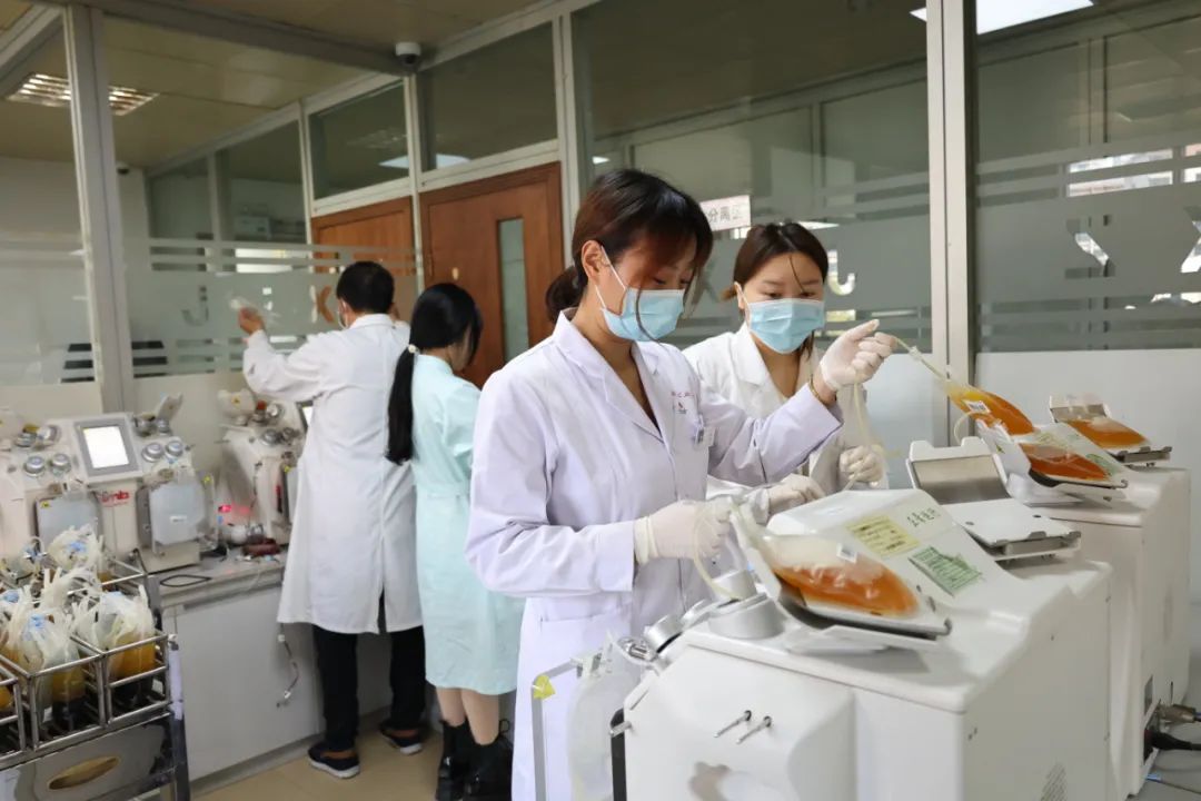 应急制备熊猫血血浆 为市民健康保驾护航