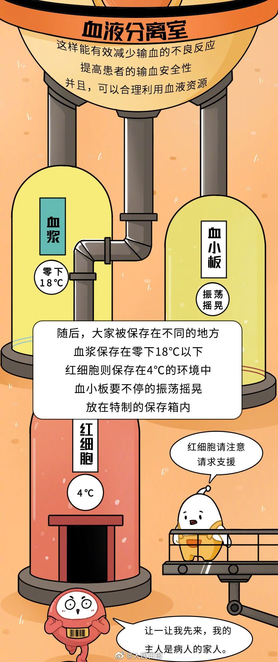 【献血科普】一文了解红细胞的奉献之旅↓↓↓
