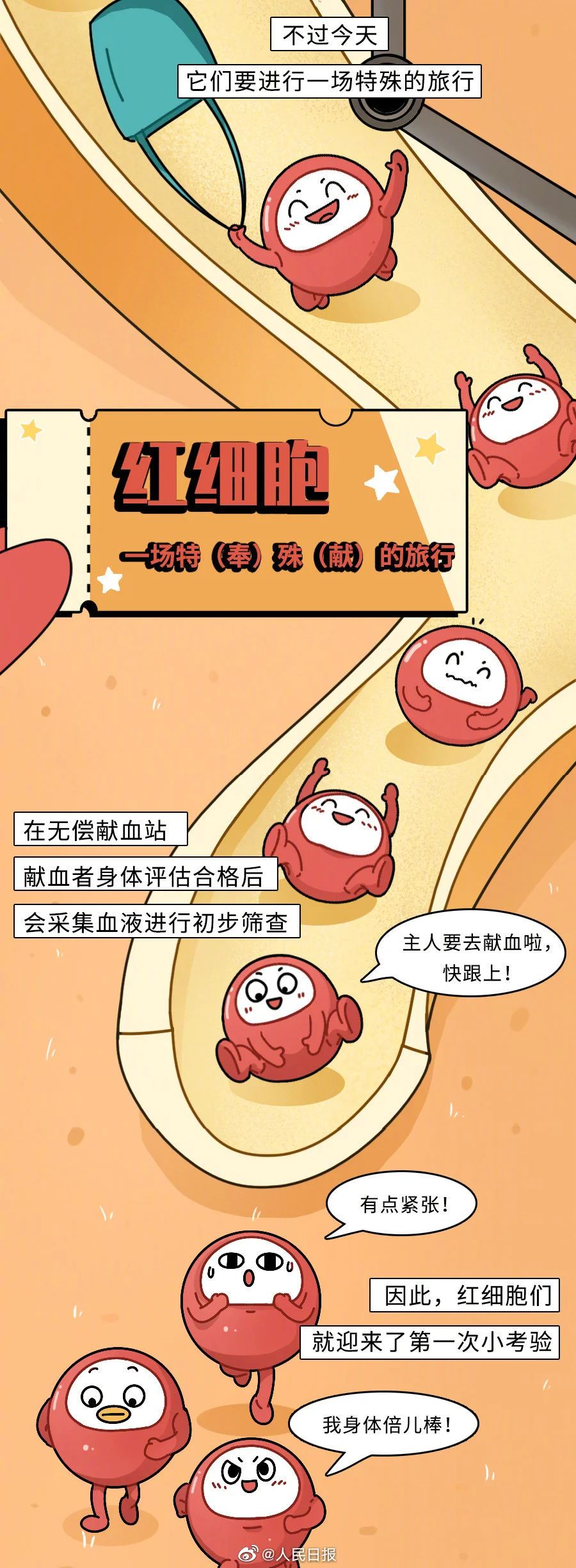 【献血科普】一文了解红细胞的奉献之旅↓↓↓