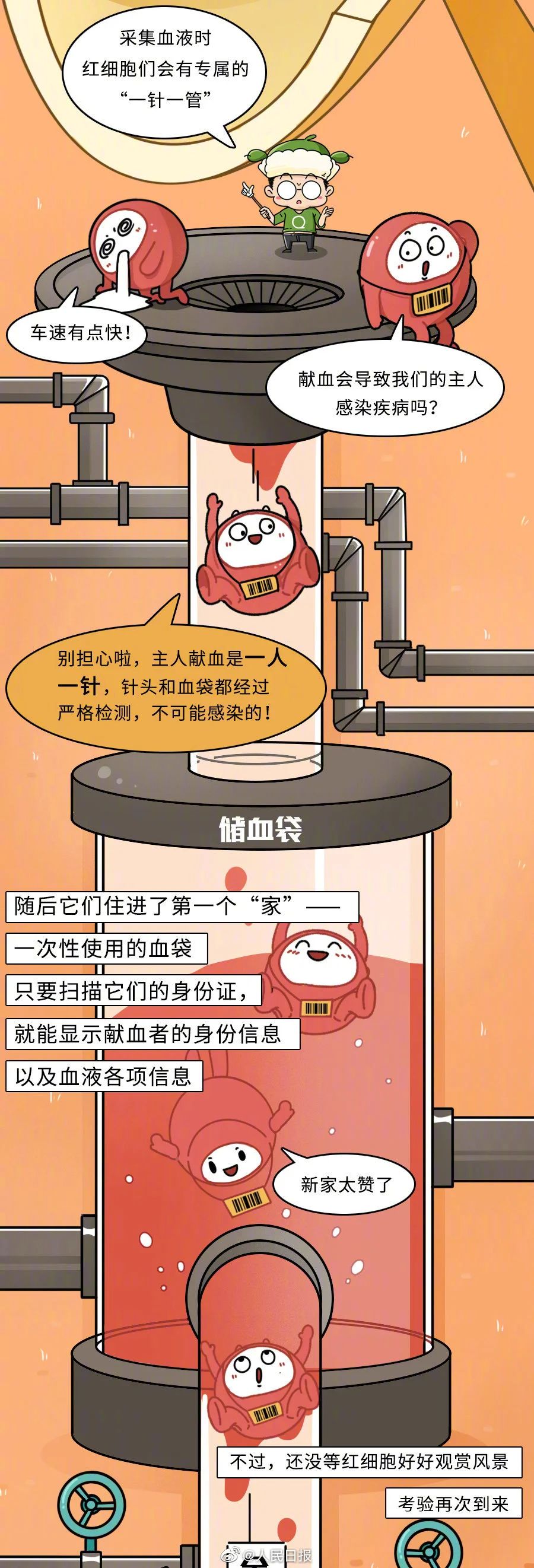 【献血科普】一文了解红细胞的奉献之旅↓↓↓