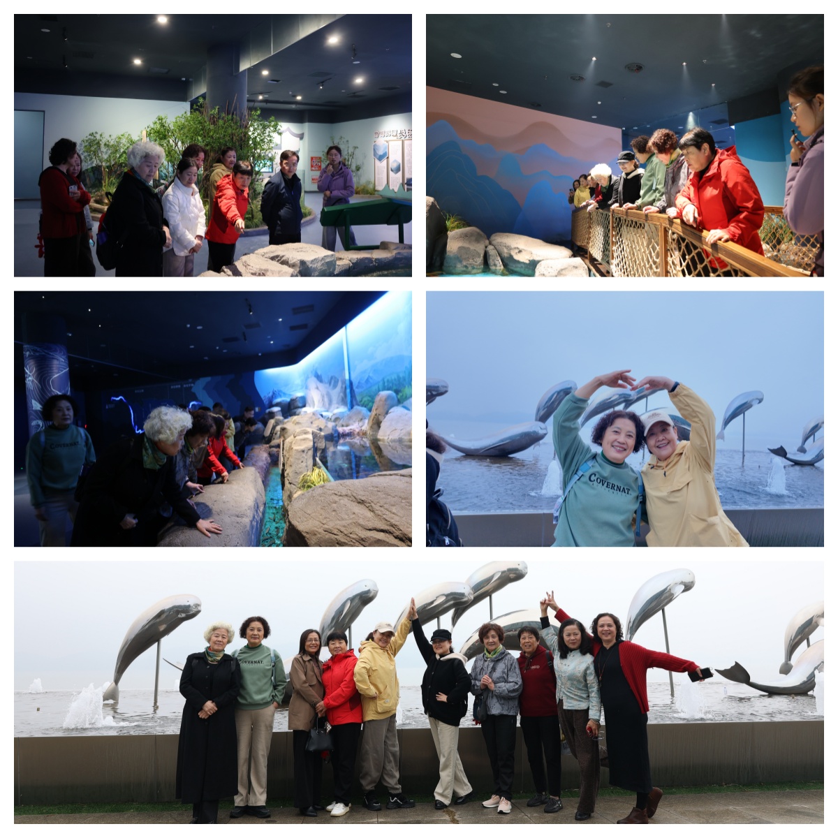 尊老敬老情意浓,共话发展谱新篇—— 九江市中心血站举办重阳节主题活动