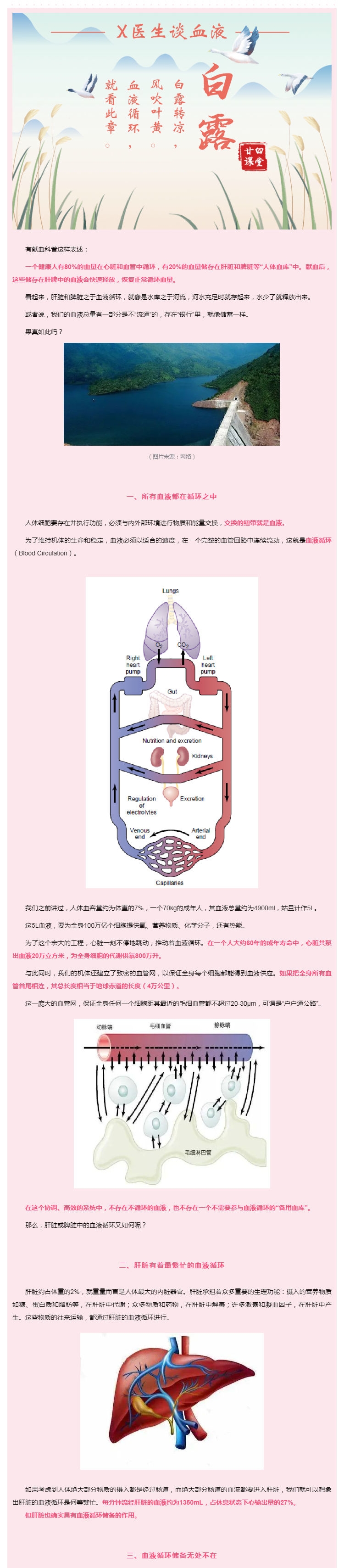 二十四节气之白露：献血需要动员肝脾“储血库”吗？